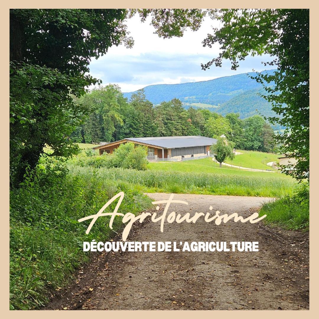 Appartement La Ferme Du Solvat à Courcelon Extérieur photo